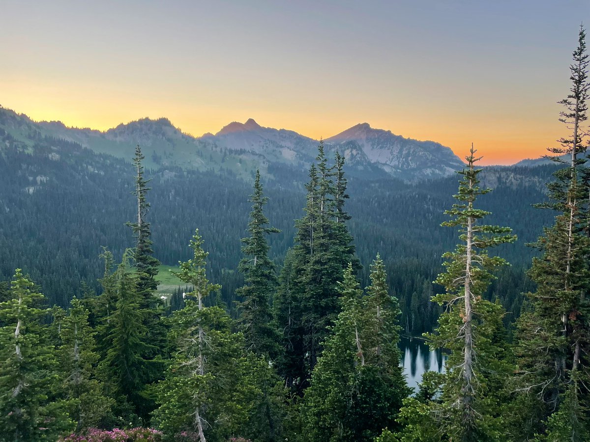 DirtyDee2's tweet image. Mount Rainier National Park, WA 📍#shotoniphone #chasingviews  #neverstopexploring