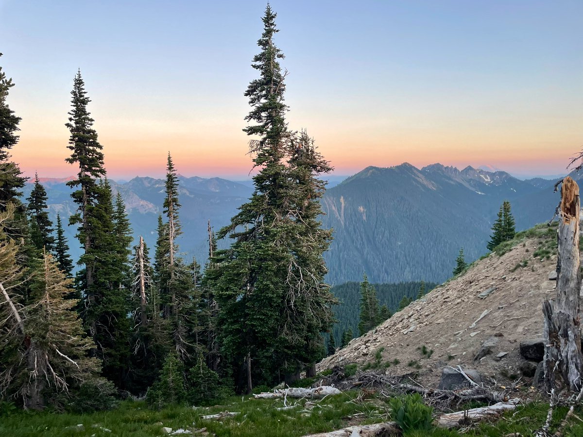 DirtyDee2's tweet image. Mount Rainier National Park, WA 📍#shotoniphone #chasingviews  #neverstopexploring