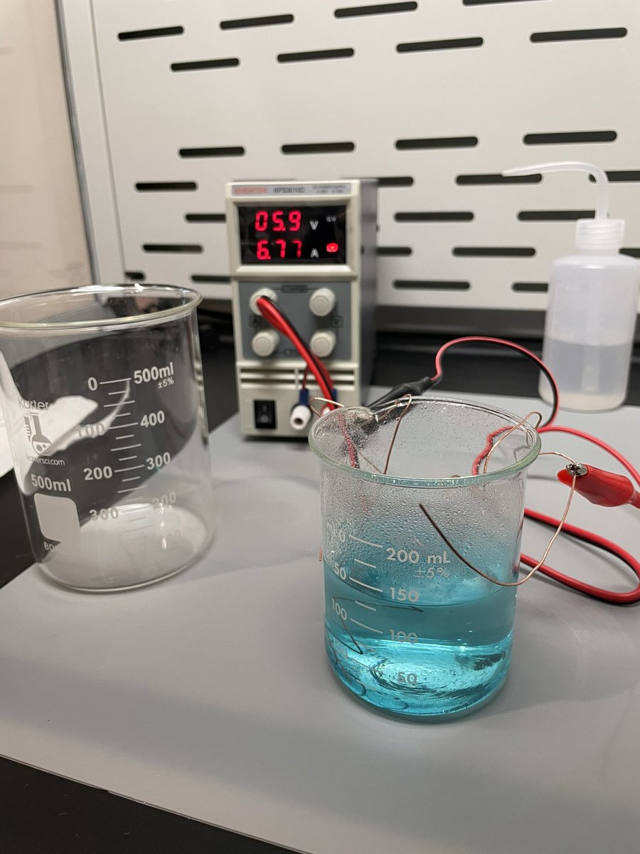 Ryan Ringo tweet media