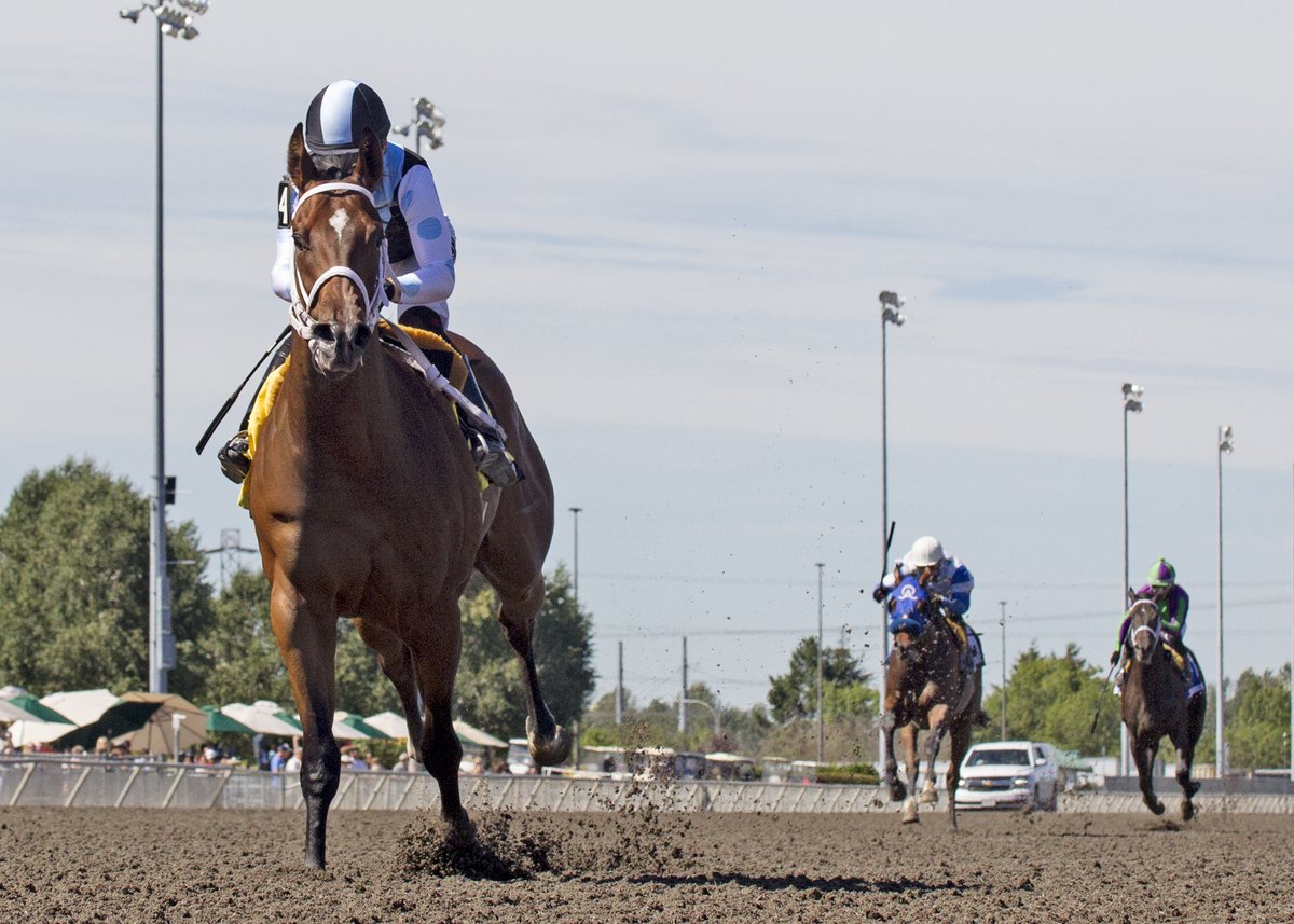 Emerald Downs tweet media