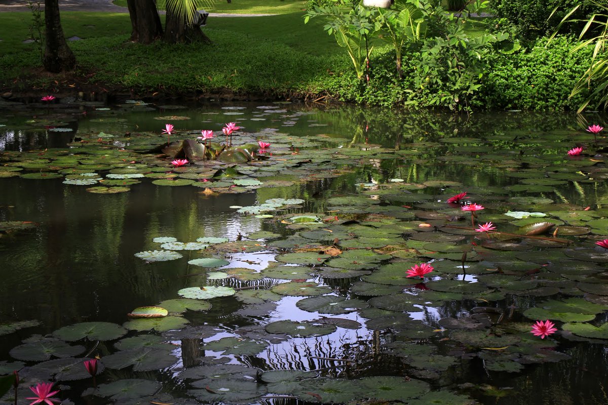 #abstractartist #AIArtwork #aiart #ArtLovers #artforsale #art #modernart #homedecor