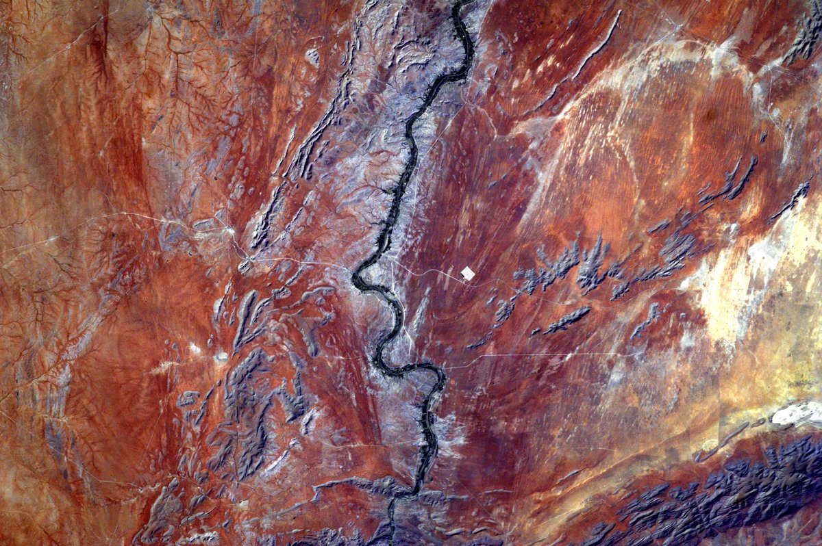NASA Earth tweet media