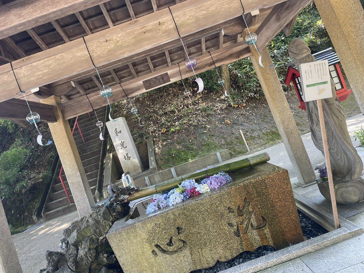 紫陽花 Hotワード 紫陽花 Hotワード