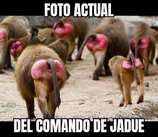 #CagasteCamello
Guajajajaja