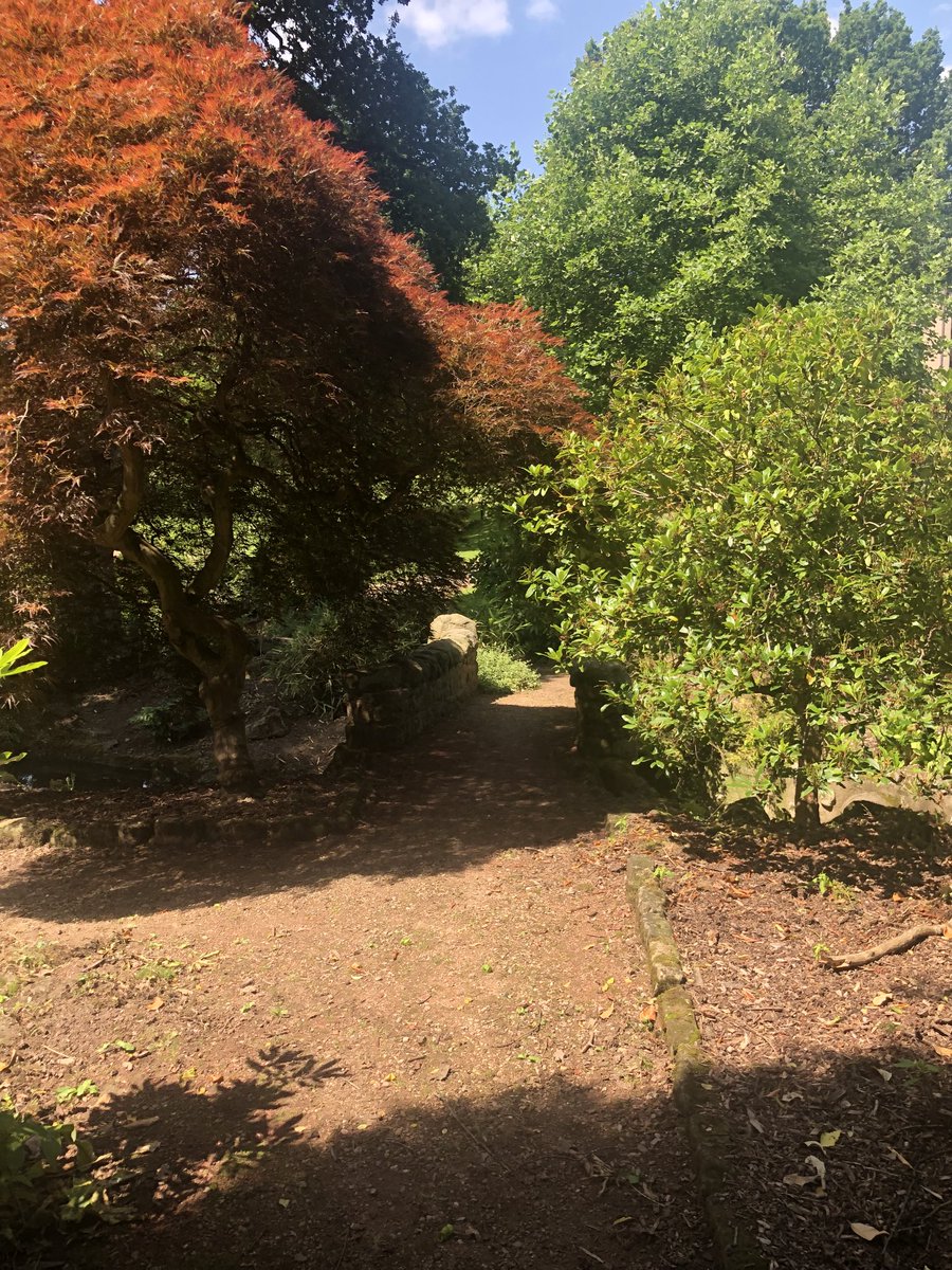 poppyashtree's tweet photo. #Breadsall Priory photos of my walks this weekend ..# https://t.co/sGVX5advpw