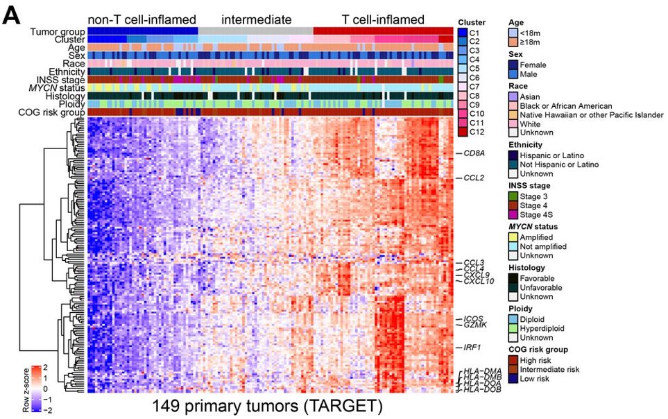 Translational Immuno-Informatics Lab (TIIL) (@immunotiil) on Twitter photo Important work from #TIIL PI Dr. <a href="/RiyueSunnyBao/">Riyue Sunny Bao, PhD</a> on immuno-genomic determinants of survival in neuroblastoma! Great work! jitc.bmj.com/content/9/7/e0… Important work from #TIIL PI Dr. <a href="/RiyueSunnyBao/">Riyue Sunny Bao, PhD</a> on immuno-genomic determinants of survival in neuroblastoma! Great work! jitc.bmj.com/content/9/7/e0…