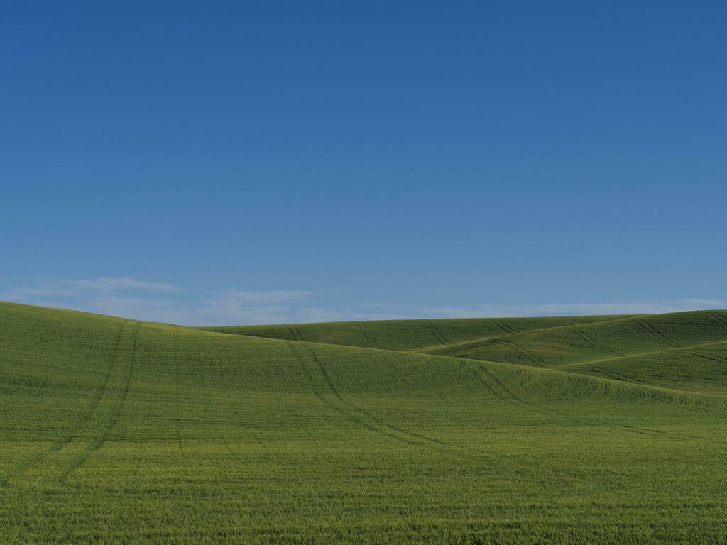 холмы виндовс. безмятежность. спокойный ландшафт. безмятежность холм. поле безмятежность.