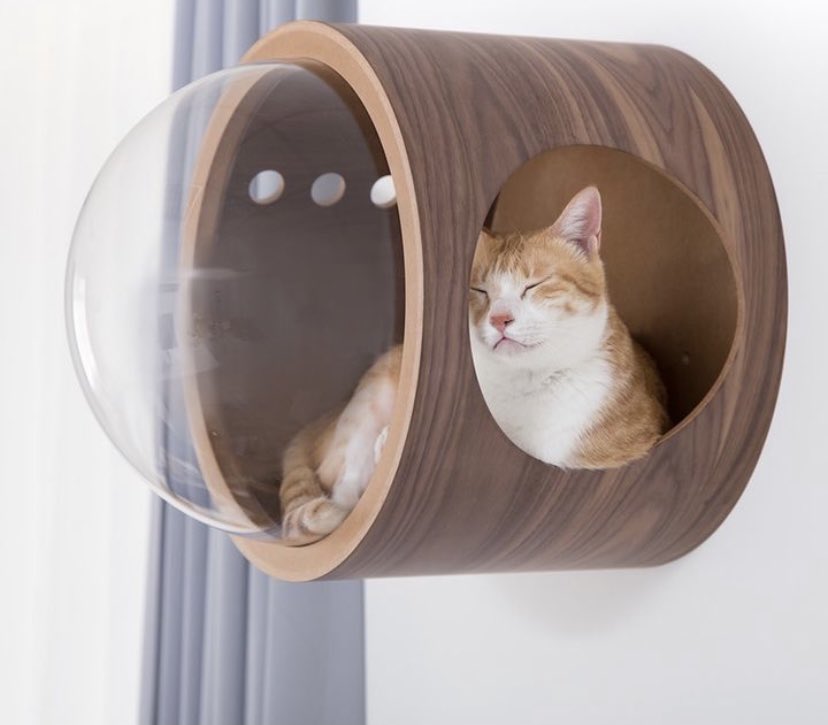 “im going to get so much done on my day off”

day off: