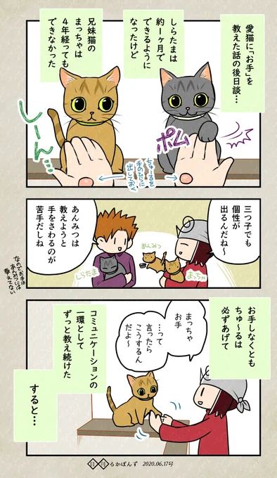 顔はそっくりだけど性格が全然ちがう猫の兄妹を保護した話28

#ぬこにっき #エッセイ漫画 #猫好きさんと繋がりたい 