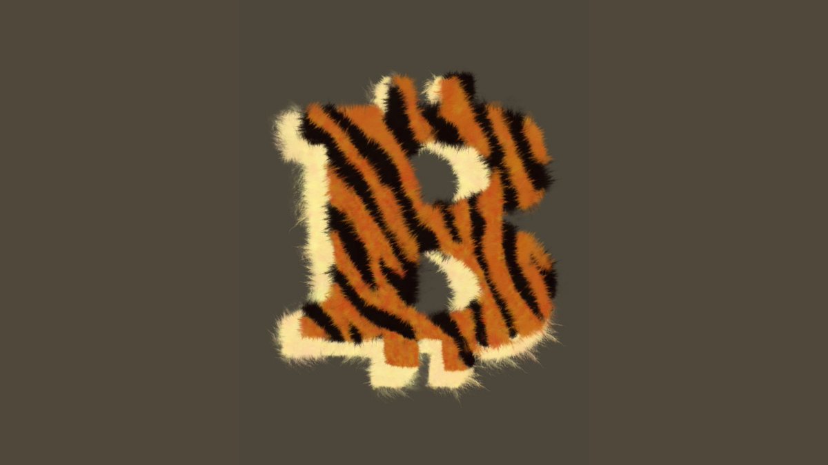 Cryptobits tweet media