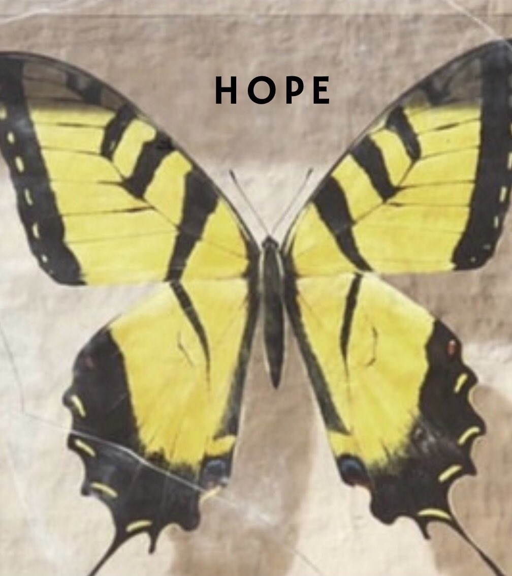 subterfugepod's tweet photo. Episode 11 is published, and today we discuss what’s vital to this case-hope
•
•
•#subterfugeinchalamontpark #justiceforebby #justiceforebbysteppach #ebbysteppach #arkansasmade #arkansaspodcast #arkansastruecrime #truecrime #lrpd #truecrimepodcast https://t.co/8alnvtcVRN