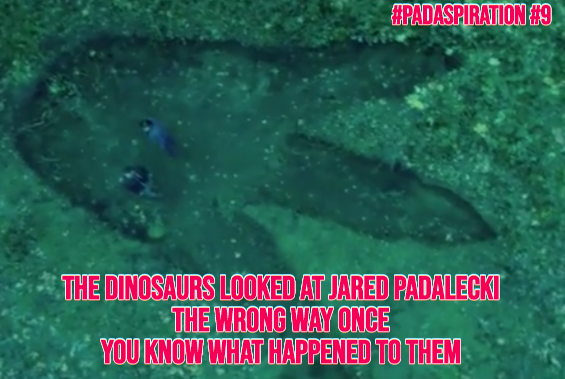 Franki3W's tweet photo. #PadaSpiration #9
The dinosaurs looked at #JaredPadalecki the wrong way once. You know what happened to them.
#Walker #WalkerFamily #SPNFamily #Inspiration #JaredPadaleckiAppreciationDay #Motivation #AKF @jarpad #JaredMakesUsSmile #DinosaurExtinction #PadaPower #LoveJaredLouder https://t.co/WPqvC565zb
