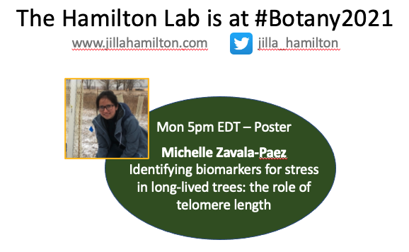 jilla_hamilton's tweet photo. The Hamilton Lab is at #Botany2021 - can't wait to see you there!! @PrairieFungus @Michell01008276 @joe_braasch and Jess Lindstrom will all be presenting! https://t.co/pvJuPXvdO4