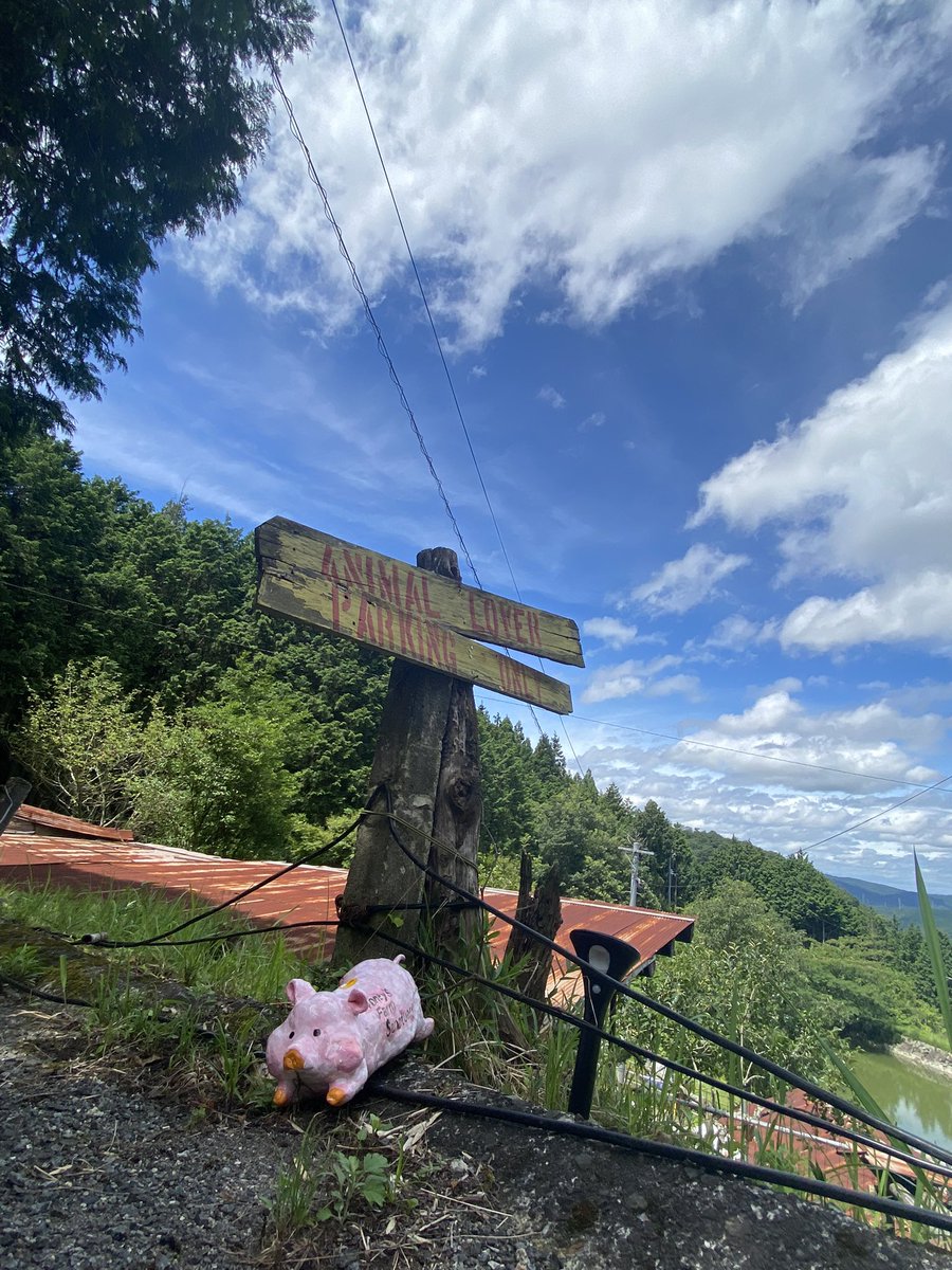 luvYukochan's tweet photo. 先日開催されたEarth rhythm market でおいてた
honeys’ farm sanctuary の支援箱を届けに行きました🌈
彼らは家畜として劣悪な環境で育てられ、本来なら数ヶ月で殺される子達…
そんな地獄からレスキューされサンクチュアリでひとつの命として自由に暮らしています🤍
絶対に食べ物じゃないよ… https://t.co/Aq89URX1p3