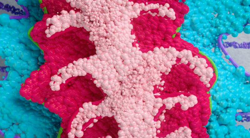 agotoronto's tweet photo. It can be anything: an interactive artmaking workshop that brings into the limelight the artistic talents of neuro-diverse youths.We'll take a look at an artwork from the AGO to explore the many ways you can express yourself. July 23, 2 pm EST on Zoom. https://t.co/29ooKmKzLF https://t.co/ooyPwFBIcP