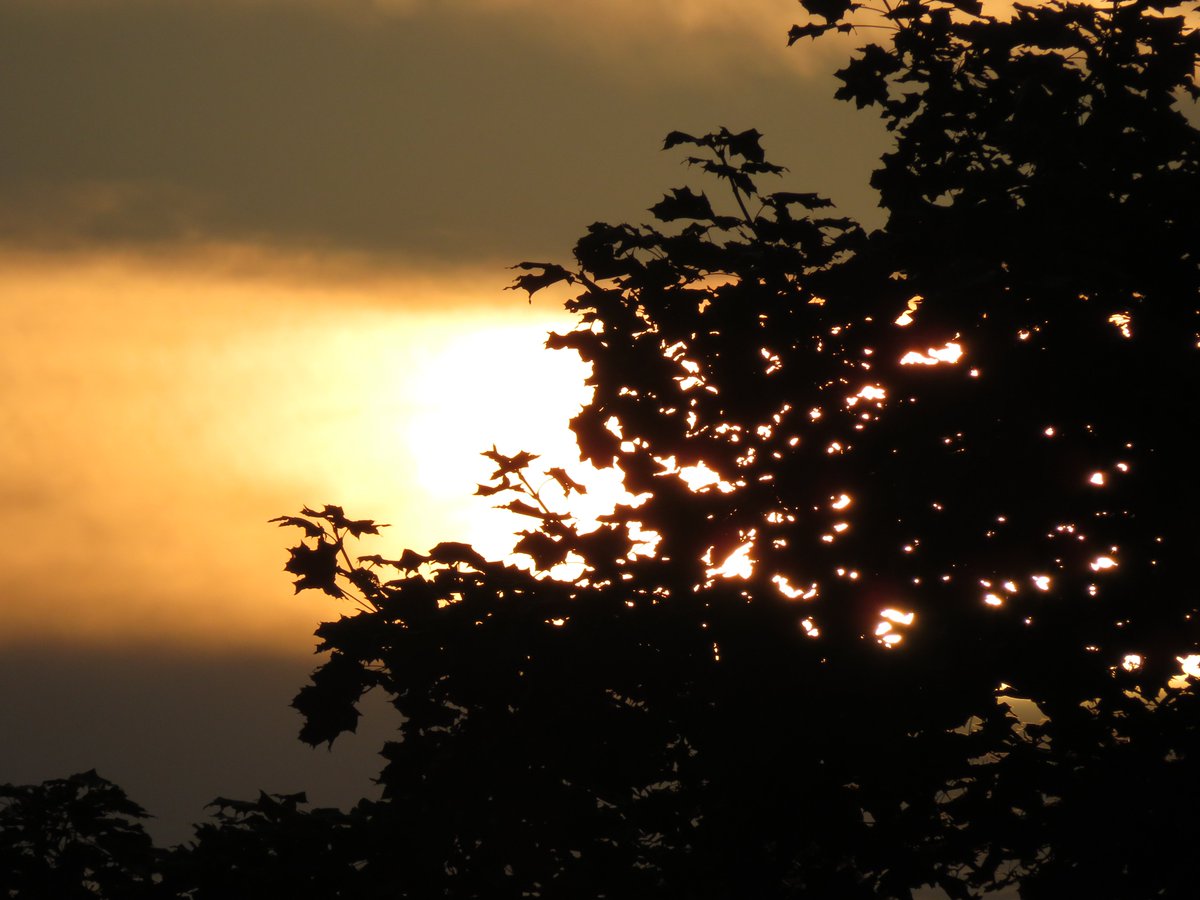 PLKlein_Author's tweet photo. "Life isn't about finding yourself. It's about creating yourself." ~ #Unknown #ThinkBIGSundayWithMarsha #ThinkingOutLoud #SundayMotivation #QuickQuotes #Life #FindingYourself #CreatingYourself https://t.co/H7MLQzkBqd