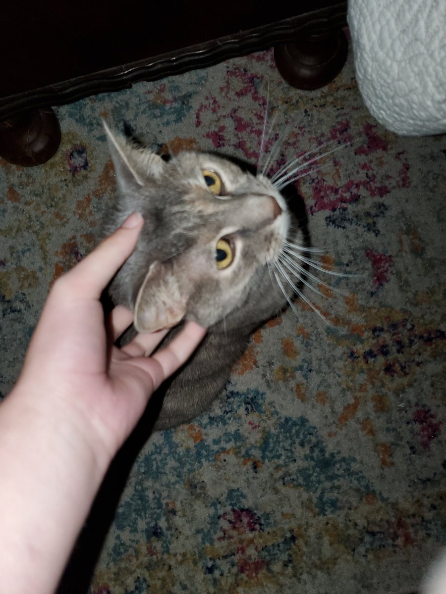 Marigold came out and let me pet her :-)