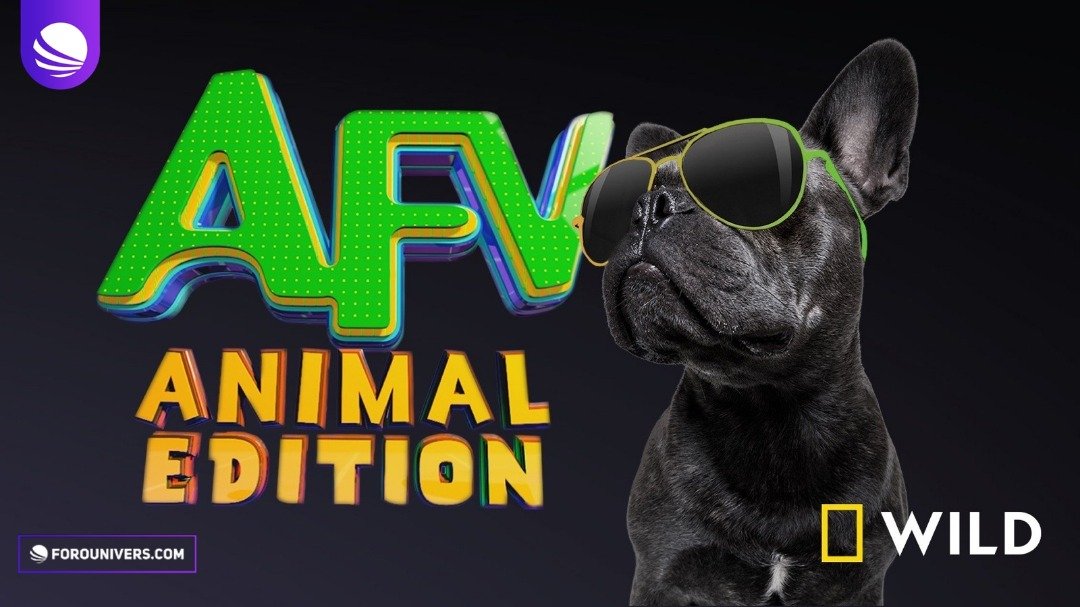 NatGeo Wild presenta "Los videos más divertidos: especial animales" un nuevo y definitivo programa de animales que nos descubre mascotas divertidas 🐶, fauna salvaje 🦁 y mucho más 😜 ¡Hoy a las 7pm COL 🇨🇴 - MEX 🇲🇽 / 8pm VEN 🇻🇪 / 9pm ARG 🇦🇷!
