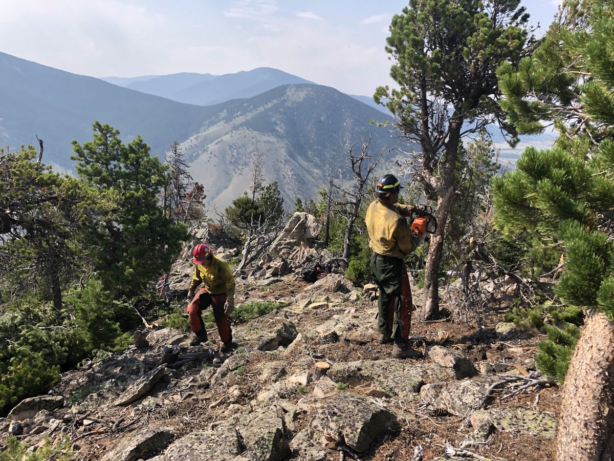 Crews continue to construct handline on the #RobertsonDrawFire today and are making excellent progress. A heat advisory is currently in effect until Tuesday. Be cautious when outdoors!