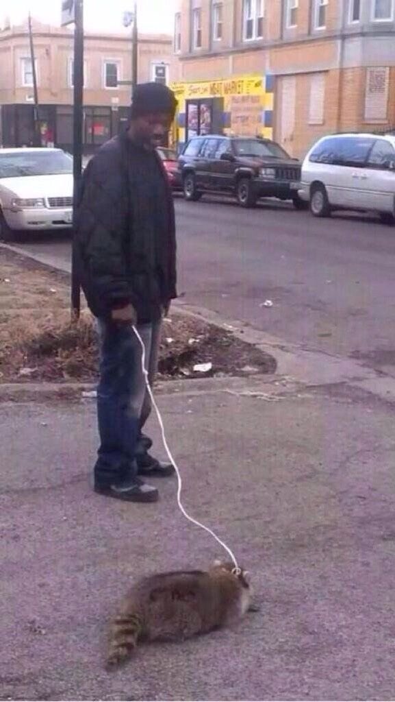 FrankieDontFlex's tweet photo. Crackheads can get anything on a leash.. https://t.co/Mz4Mud20J4