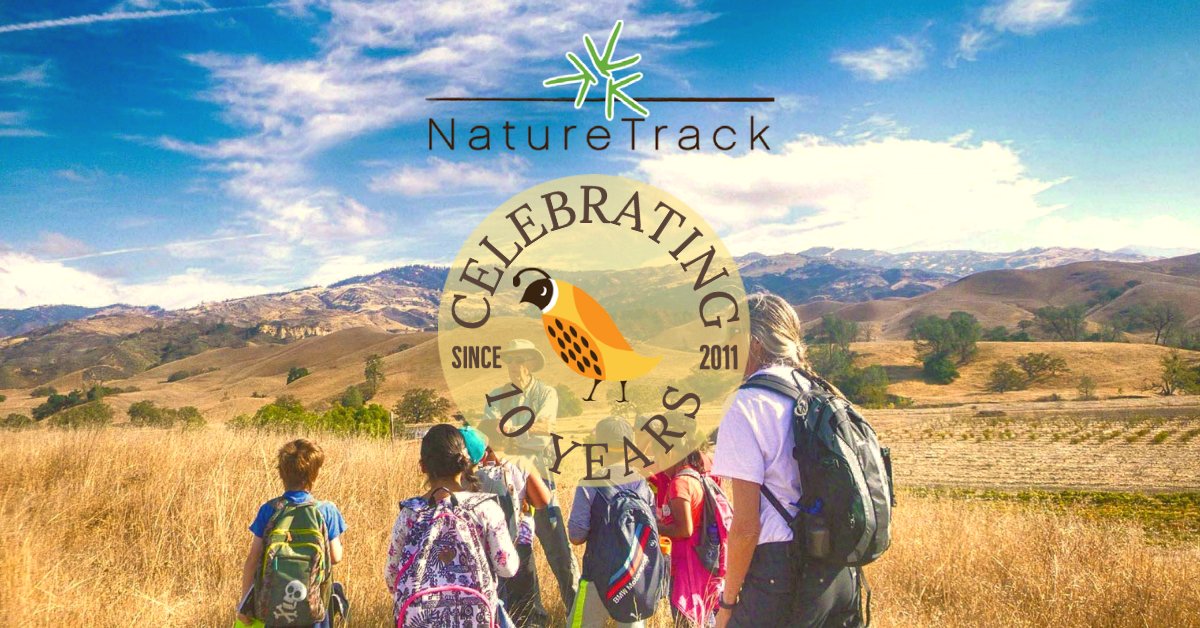 NatureTrackers's tweet photo. 🎉 2021 marks the 10th anniversary of NatureTrack 🎉! 
Over the past decade our foundation has dedicated itself to connecting students within the Santa Barbara County to nature and has strived to spark student's curiosity and understanding to the natural world! 
 🌱☀️⛰️ https://t.co/DaRo0q2mJt