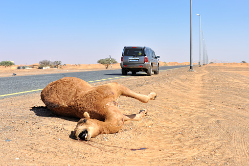 La Camila Vallejos me mandó esta foto del comando del PC.. Chile no será marxista y es hermoso
 #CagasteCamello