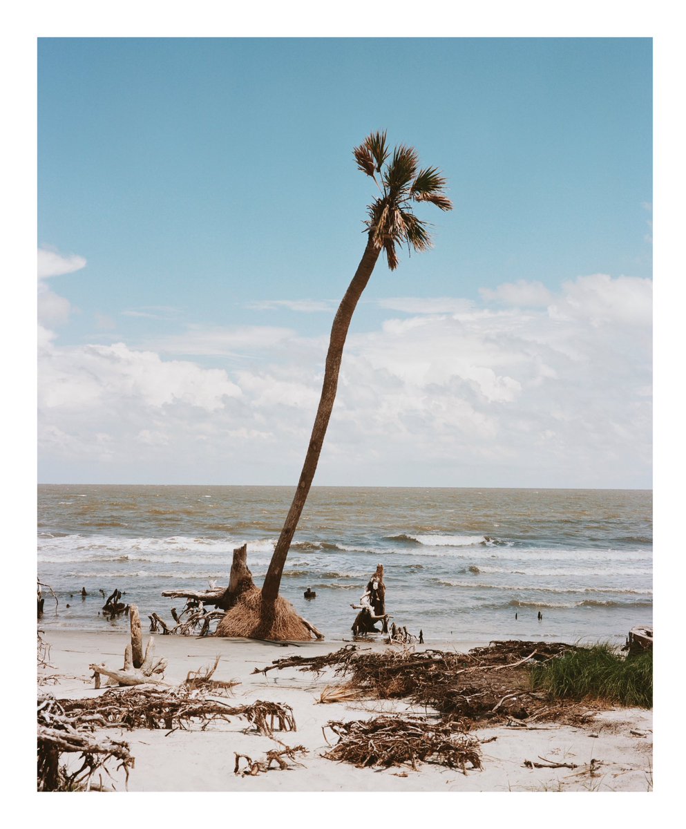 NotKelseySmith's tweet photo. A few frames from a couple of years ago :)
📷: Fuji Gw670ii
🎞: Expired Portra 400 VC https://t.co/NVYP4TQ18g