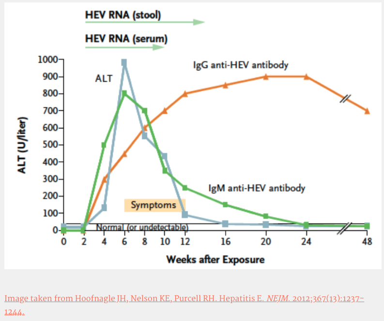 Liver Fellow Network (@liverfellow) on Twitter photo Check out <a href="/Jess_Musto/">Jessica Musto</a>'s Clinical Pearls Post on the neglected viral #hepatitis - hepatitis E!
Learn more about diagnosis & management of #hepatitisE!
#livertwitter #meded #medtwitter #foamed #GITwitter #hepE Check out <a href="/Jess_Musto/">Jessica Musto</a>'s Clinical Pearls Post on the neglected viral #hepatitis - hepatitis E!
Learn more about diagnosis & management of #hepatitisE!
#livertwitter #meded #medtwitter #foamed #GITwitter #hepE