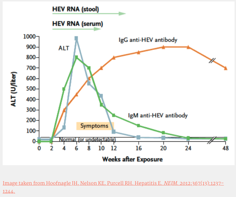 Check out @Jess_Musto's Clinical Pearls Post on the neglected viral #hepatitis - hepatitis E! Learn more about diagnosis & management of #hepatitisE! #livertwitter #meded #medtwitter #foamed #GITwitter #hepE