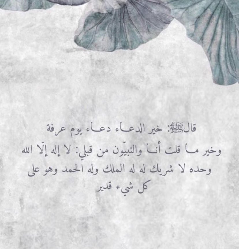 حصہ (@hasoos_yehya) on Twitter photo 