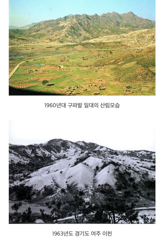 museun_happen's tweet image. 우리나라 산에 나무가 많은 이유 (타래로 계속)