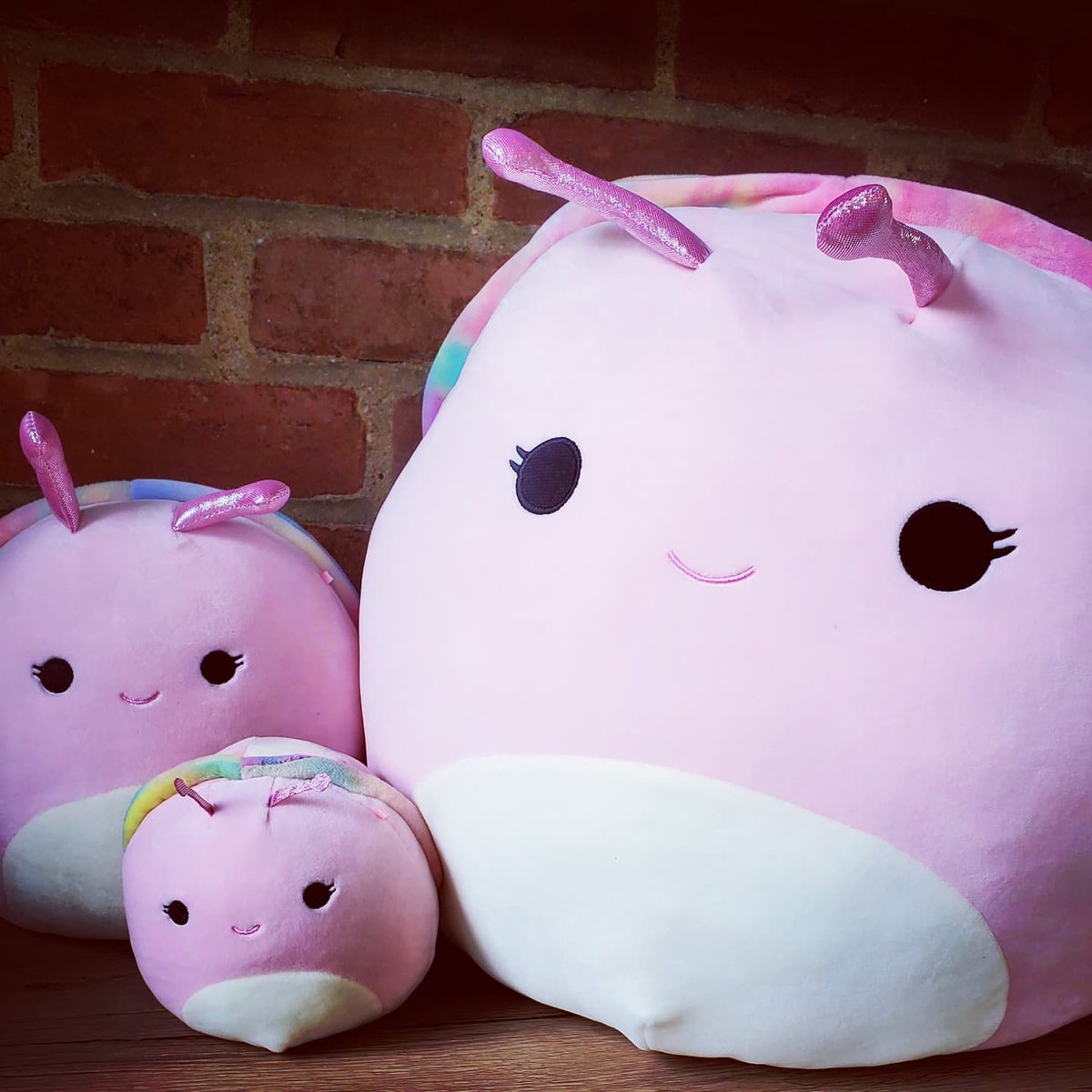 MallowGraham's tweet photo. Silvina the Snail
5" &amp; 8" &amp; 12"

#squishmallows #Silvina #snail #SnailSquad https://t.co/NjqfHTzZxv
