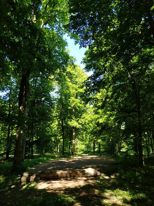 AnghellOFF's tweet image. Petite balade 😊 bon lundi à vous et bon courage pour ceux qui ont re pris le taf.