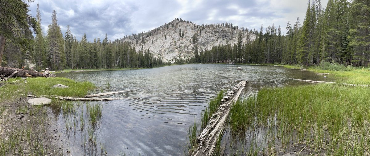MuyBienEstiphen's tweet photo. Twin Lakes #mothernature #forestchild #swimswimswim #backtothelab #walkabout #igotarock https://t.co/bPQ2MbP9tq