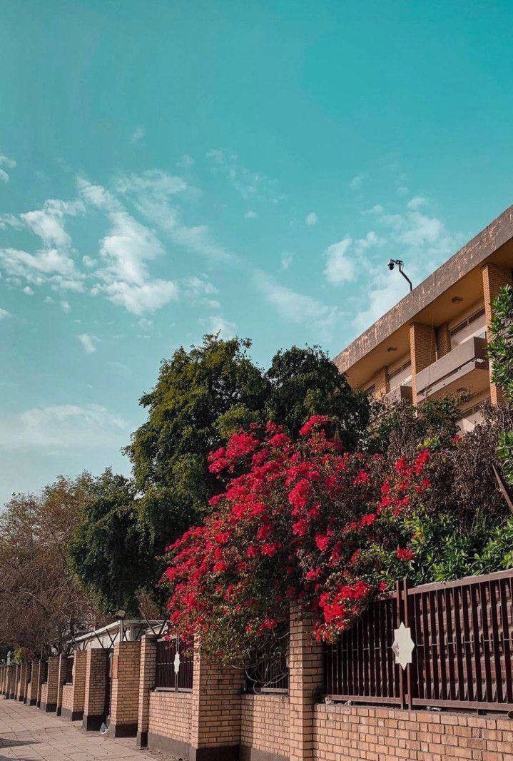 صباح يوم عرفة، صباح يوم الأمنيات المُجابة بإذن الله.
#يوم_عرفة