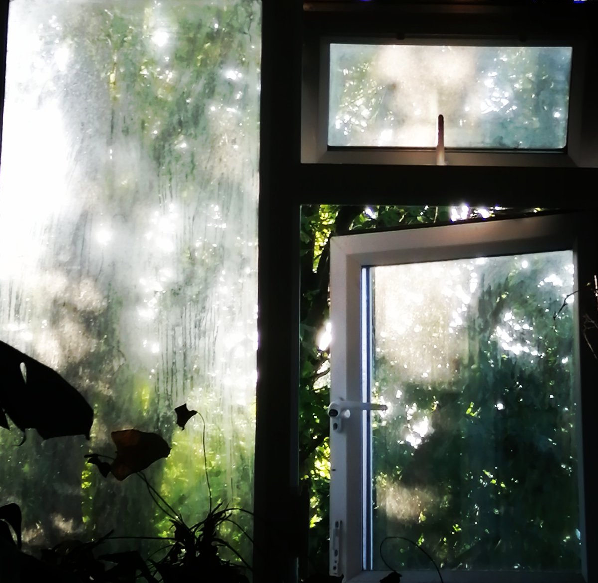 CRedbubble's tweet image. Good morning lovely people!!
I miss you all but I don't post much anymore because my posts barely get noticed for my posts to do with my shop :-(
P. S I love my apartment in the summer.. So pretty