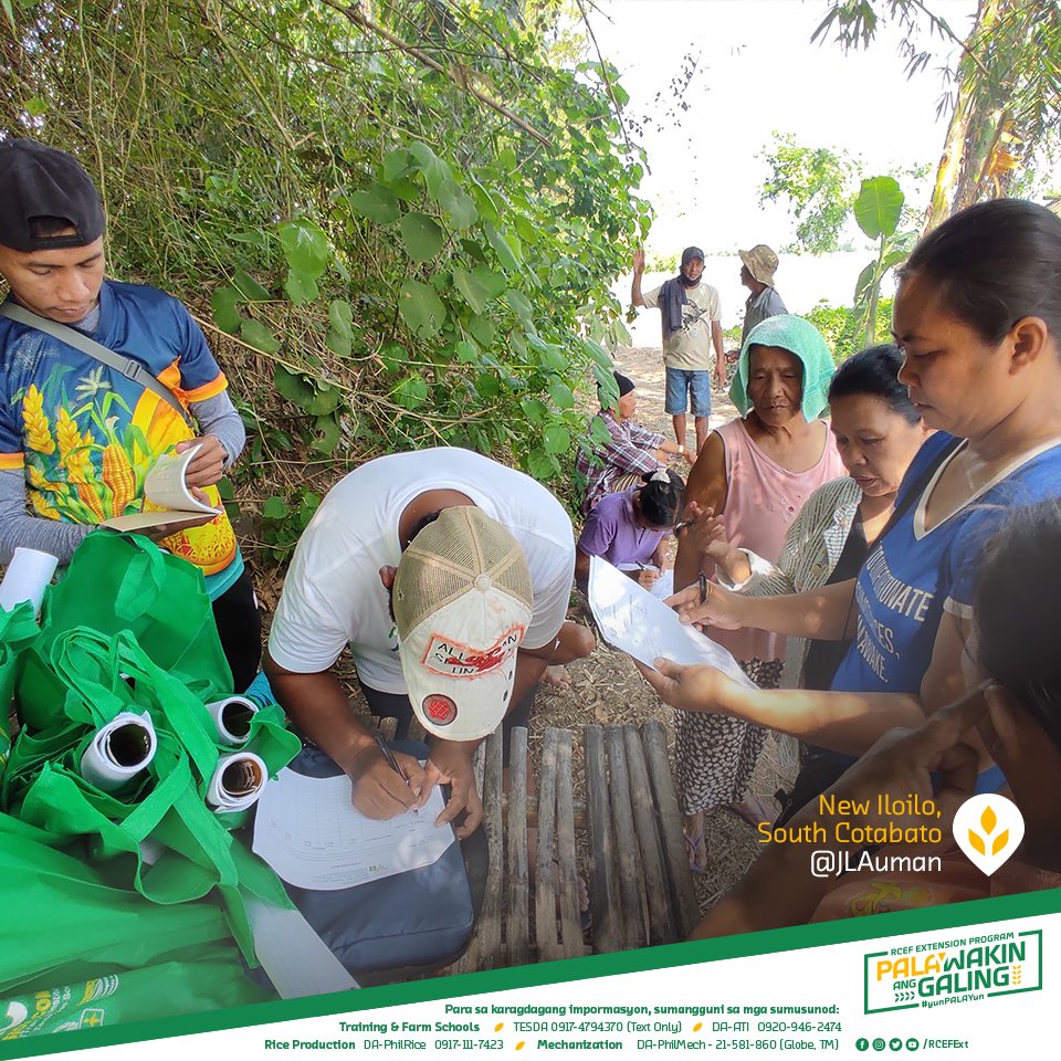 RCEFExt's tweet photo. #RCEFExt: Repost from @ JLAuman
New Iloilo, South Cotabato
I'm on a #HOLIDATE with the rice farmers of Barangay New Iloilo, Tantangan, South Cotabato.
See more: https://t.co/1OkYelhHx3
#PalaywakinAngGaling #yunPALAYun https://t.co/QJlK9x2kax
