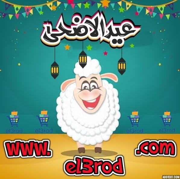 El3rod_KSA's tweet photo. ❤️ موقع العروض يهنئكم بمناسبة عيد الأضحى المبارك وتقبل الله منا ومنكم صالح الاعمال وكل عام وانتم بخير ❤️
#العروض #el3rod
#اخر_عروض_الكويت #الكويت #عروض_الكويت #كل_عام_وأنتم_بخير #تهنئة #عيد_الأضحى_المبارك https://t.co/V3F5qY72RF