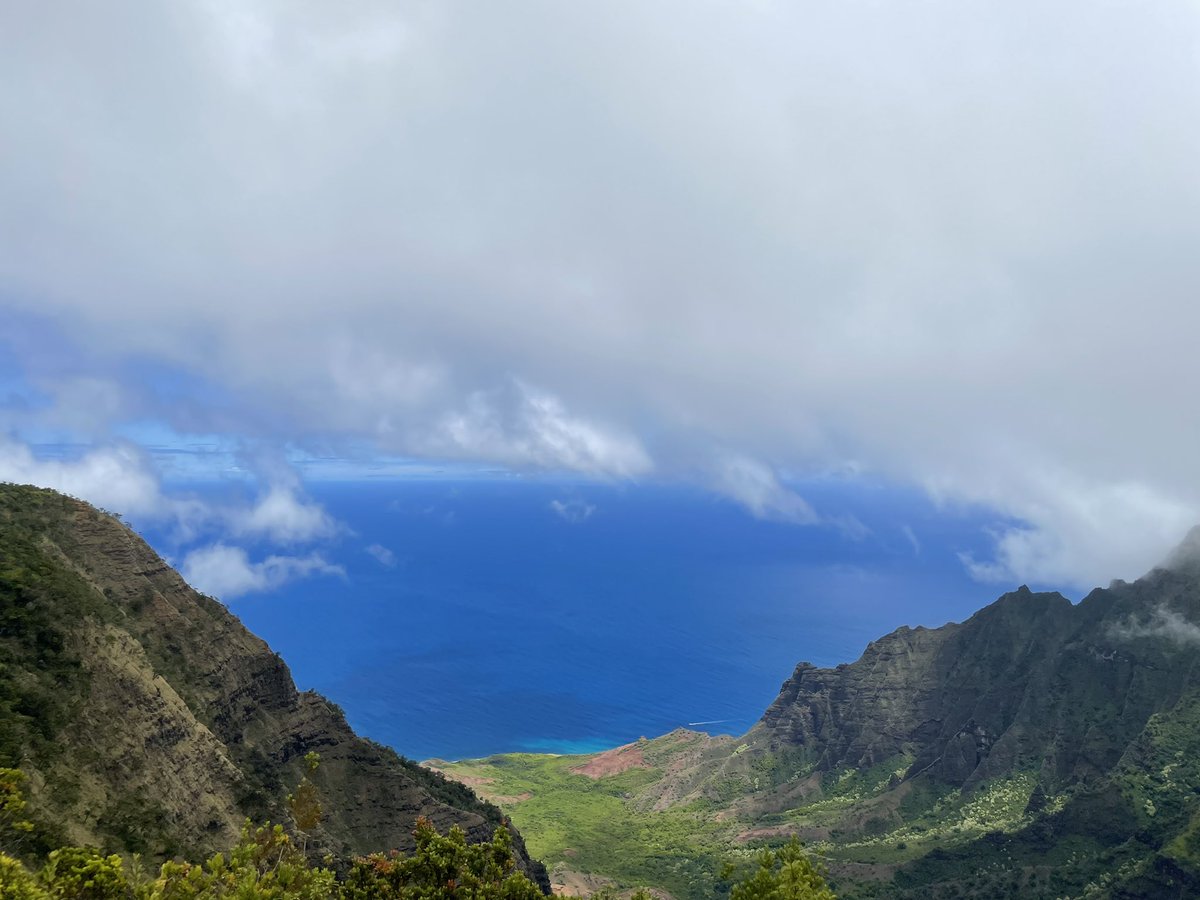 Bryan Nehman tweet media