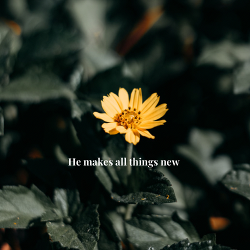 God makes all things new. #twp #teacherswhopray #Godisgood #allthingsnew #newthing #hemakesallthingsnew