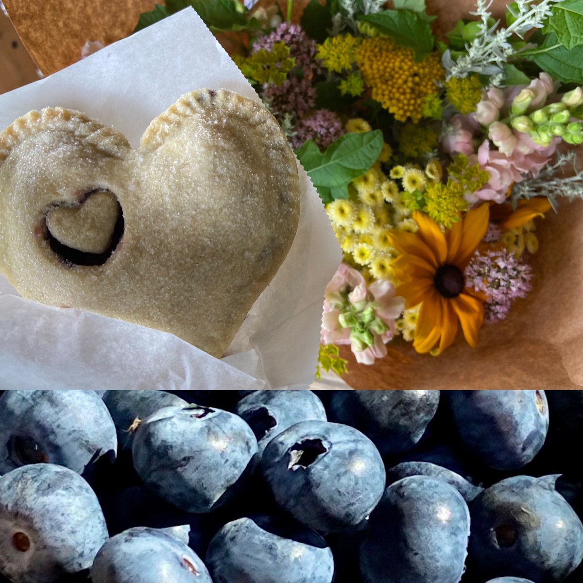 Burdick Blueberries tweet media