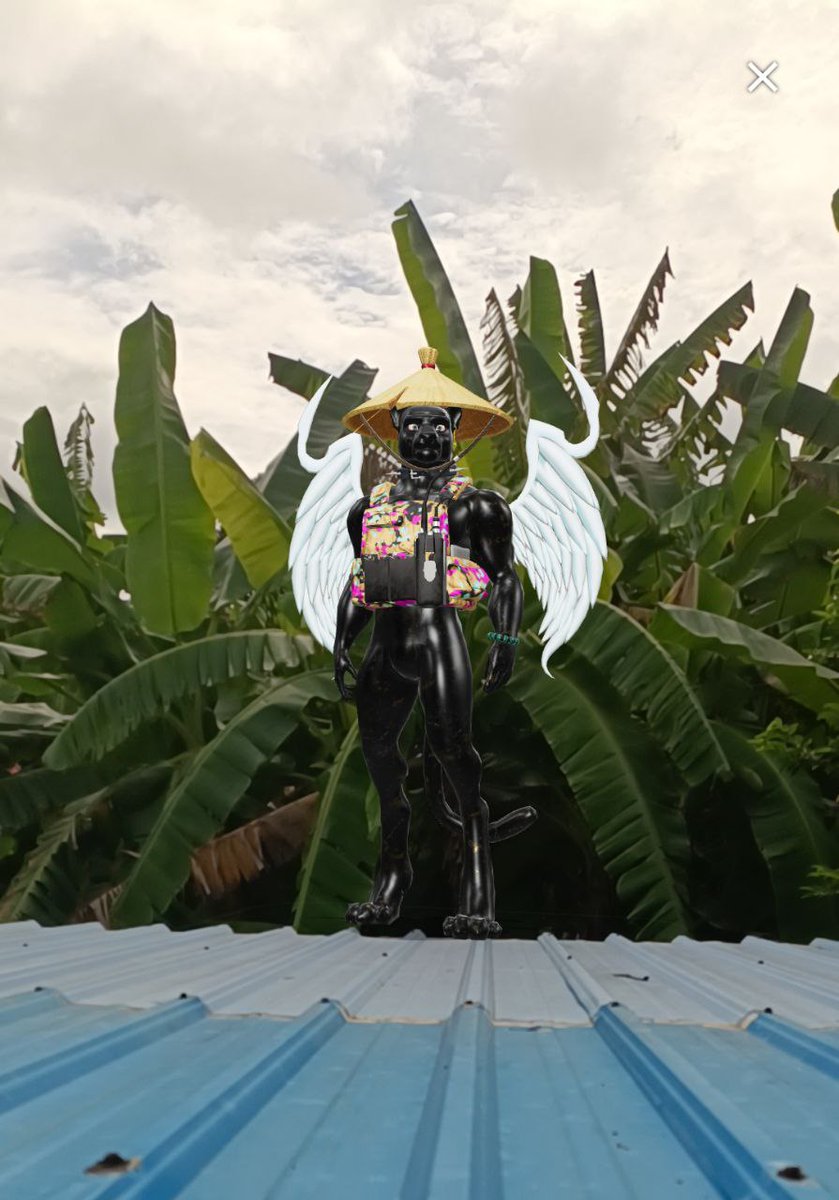 PowerRa08087018's tweet photo. They flew to save the extinct species of tigers on earth!

tiger go to the moon🐯🐯
@TigersGuild @Camaro_c1 @Weekipedia1 

#join1ethgiveway #thetigersguild 
#tigernft https://t.co/FH51sMsoNv