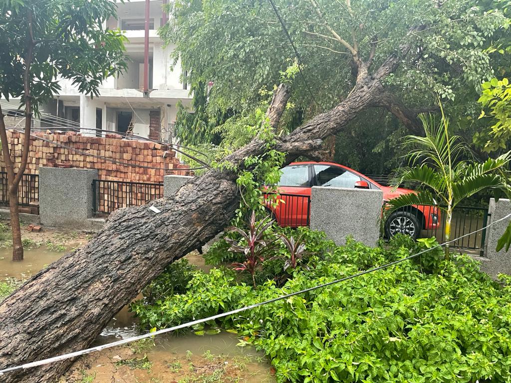 उदयवीर यादव, ( गुरुग्राम) tweet media