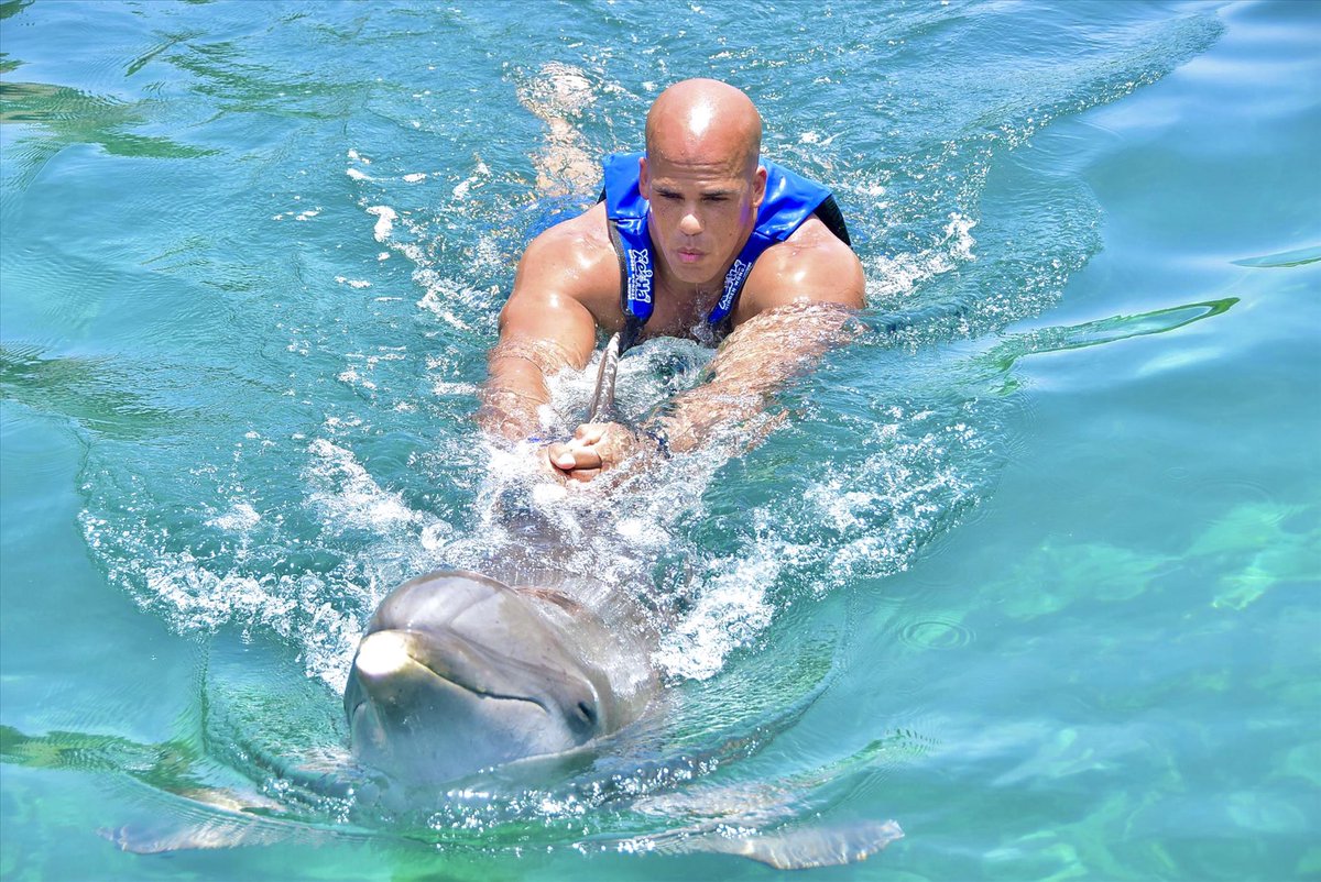 bwrighteousfit's tweet photo. Rumor has it the dolphin took the next two days off. He was too sore to swim properly! #FinDayWorkout

 #dolphinriding #dolphins #xelha #xelhapark @XelHaPark #vacation https://t.co/gjybI5EncS