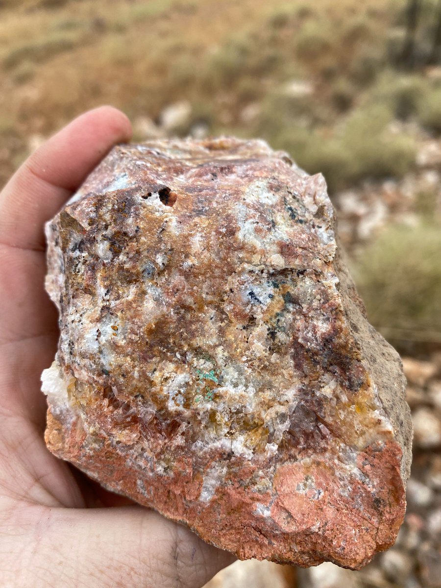 KingRiverASX's tweet photo. King River has also been prospecting in our most remote areas with helicopters sampling flat lying quartz outcrops.  Assays are pending …. 🤞 

#goldexploration #gold #krr #asx #miningnews #prospecting #goldnews  #exploration https://t.co/qczykJCYkJ
