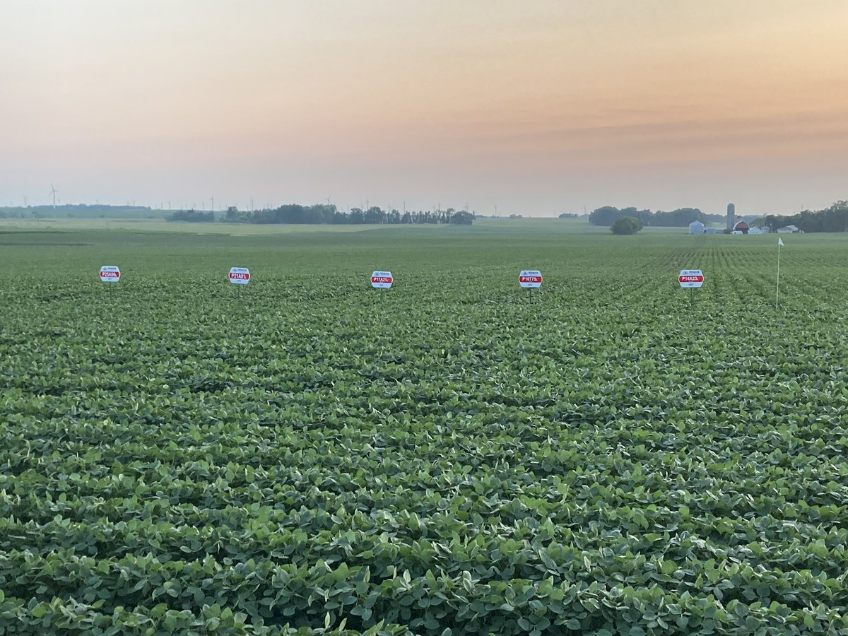 Dale Dwire tweet media