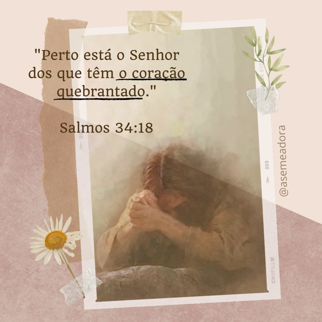 a_semeadora's tweet photo. https://t.co/aTGKc0RYkw