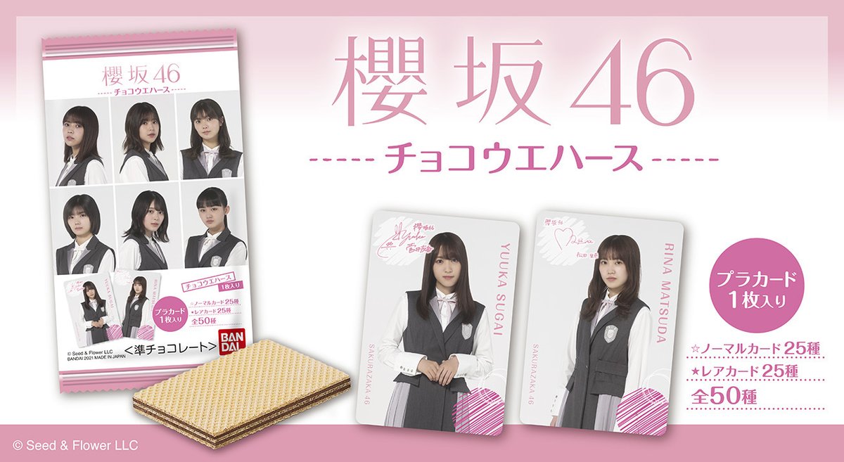 日向坂46 ウエハース ノーマルカード レアカード バラ売り