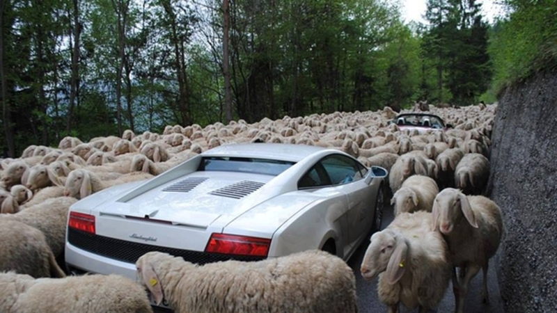 Guruleaks1's tweet image. 90% of all traders fail except on social media, where 90% drive Lambos and teach others how to fail