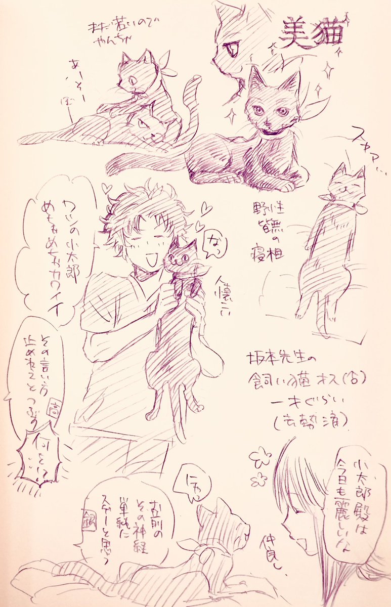 猫ヅラさんは……と言われたので🐈‍⬛

吉田動物病院の看板アイドル猫コタロウくん(飼い主は坂本先生) 
